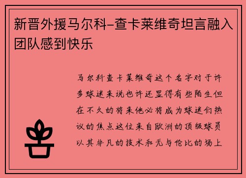 新晋外援马尔科-查卡莱维奇坦言融入团队感到快乐