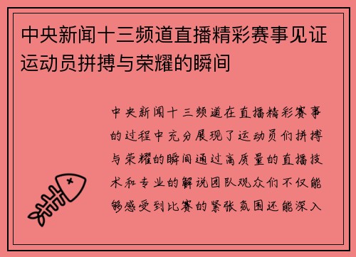中央新闻十三频道直播精彩赛事见证运动员拼搏与荣耀的瞬间